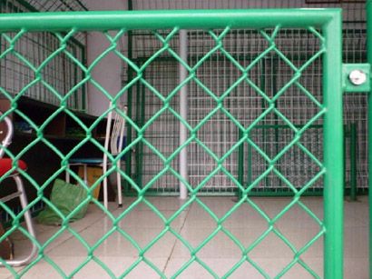 �F�z�����W(w��ng)