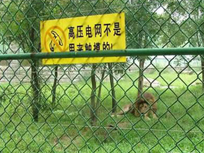 ��(d��ng)��@���o(h��)�W(w��ng)